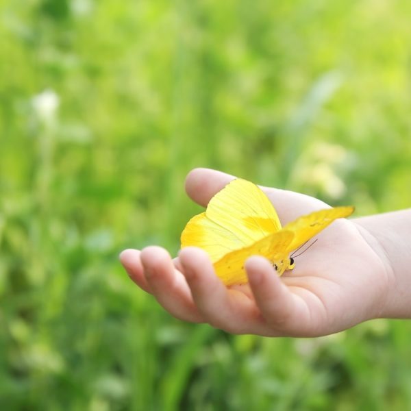 Children's funeral fund