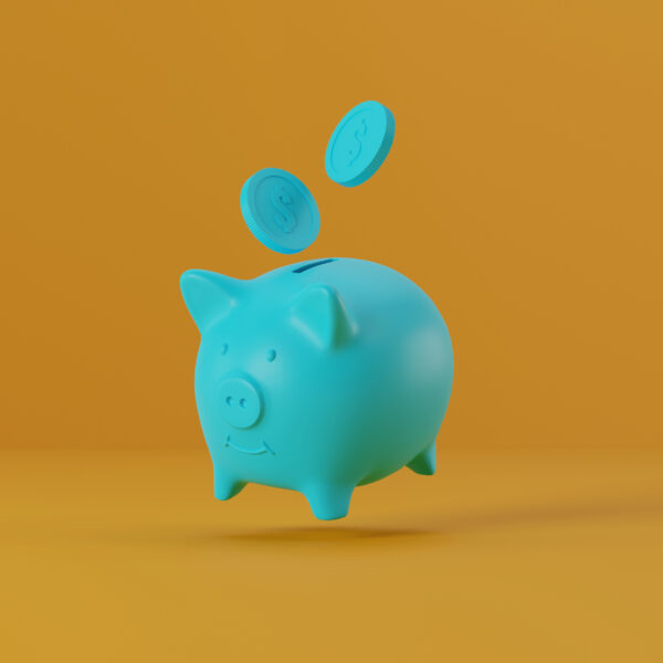 direct payments, piggy bank picture