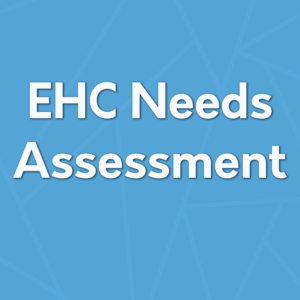 EHC Needs Assessment