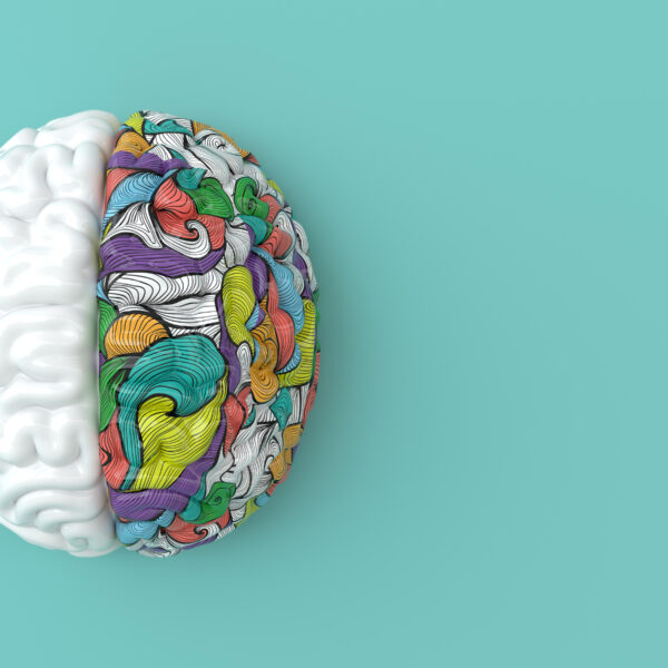 brain with creative colours