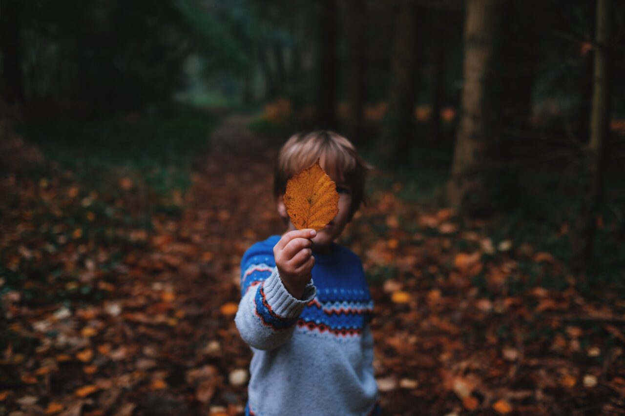 child in forest holding leaf to face